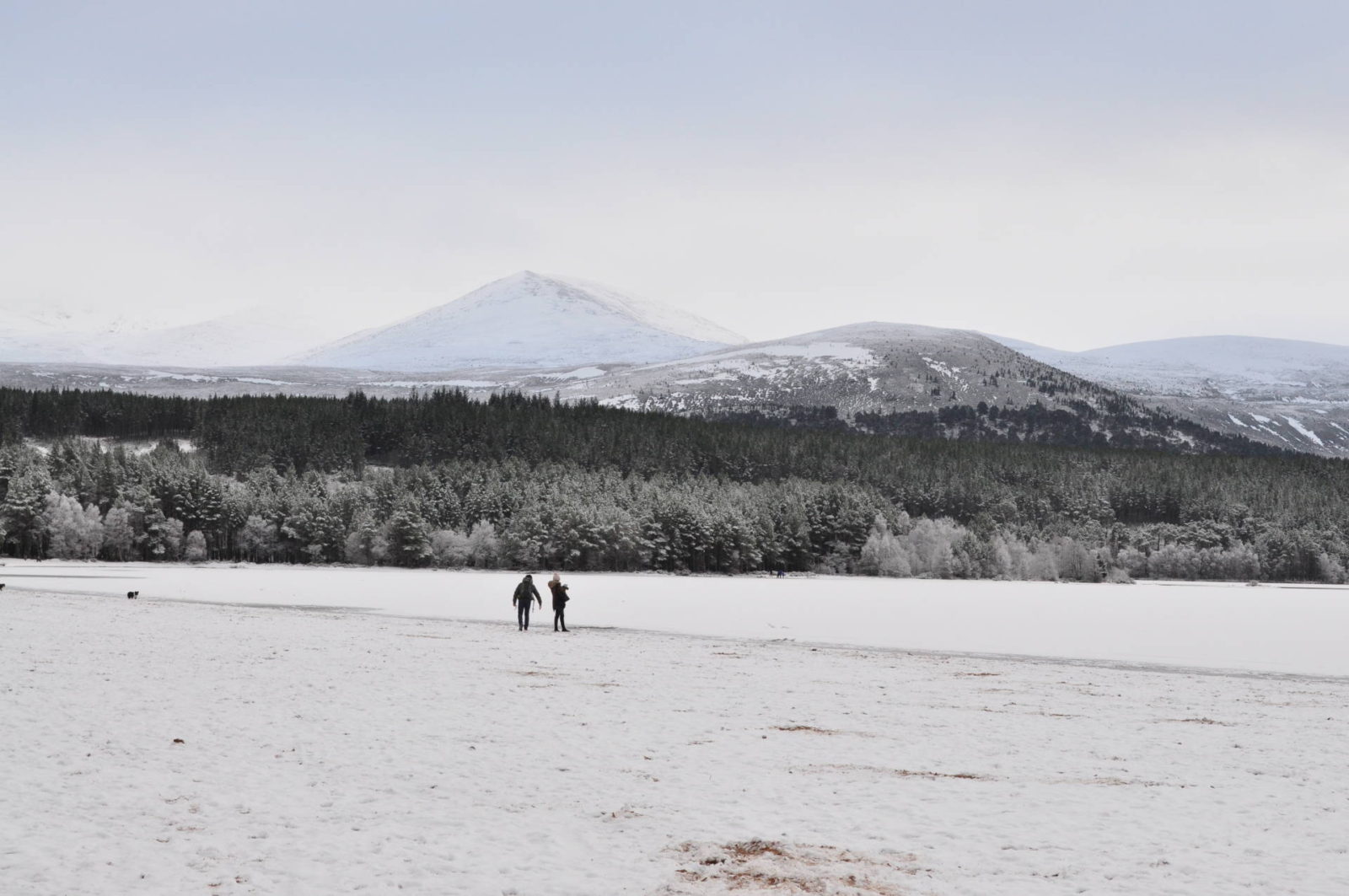 Exploring the Scottish Highlands.