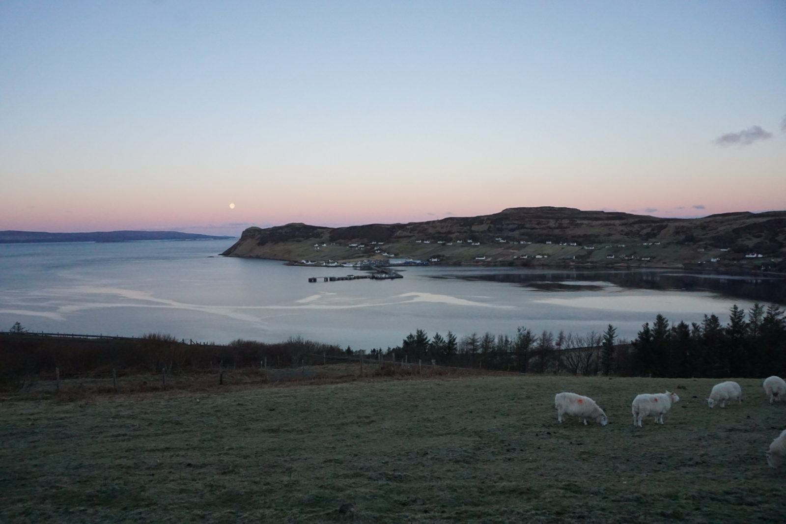 Where to Stay on the Isle of Skye The Cowshed Bunkhouse Review